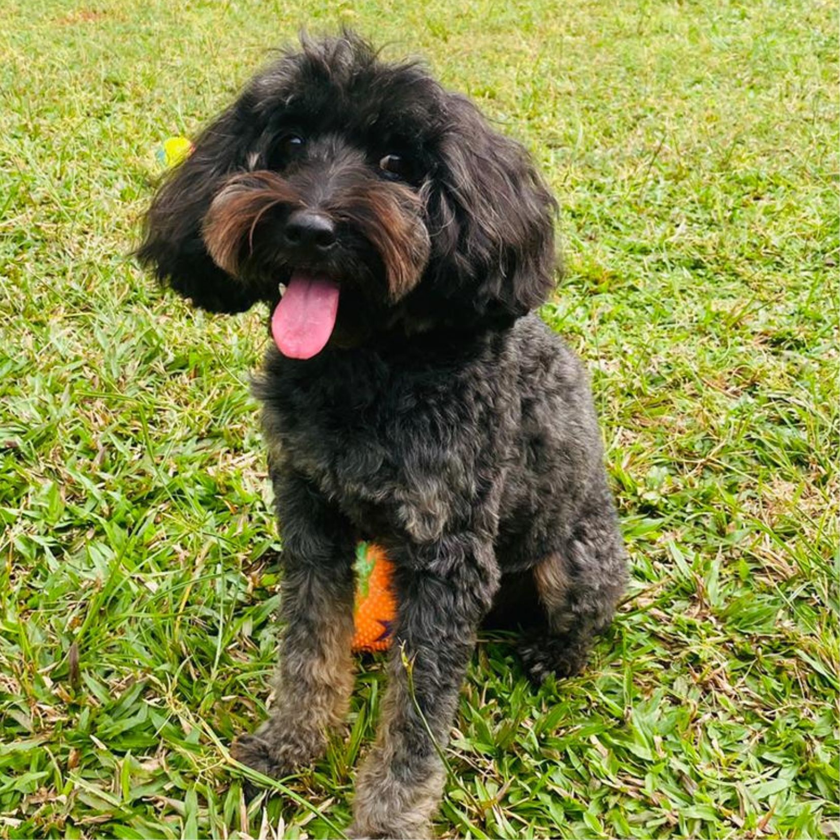 Bon Bon quality control