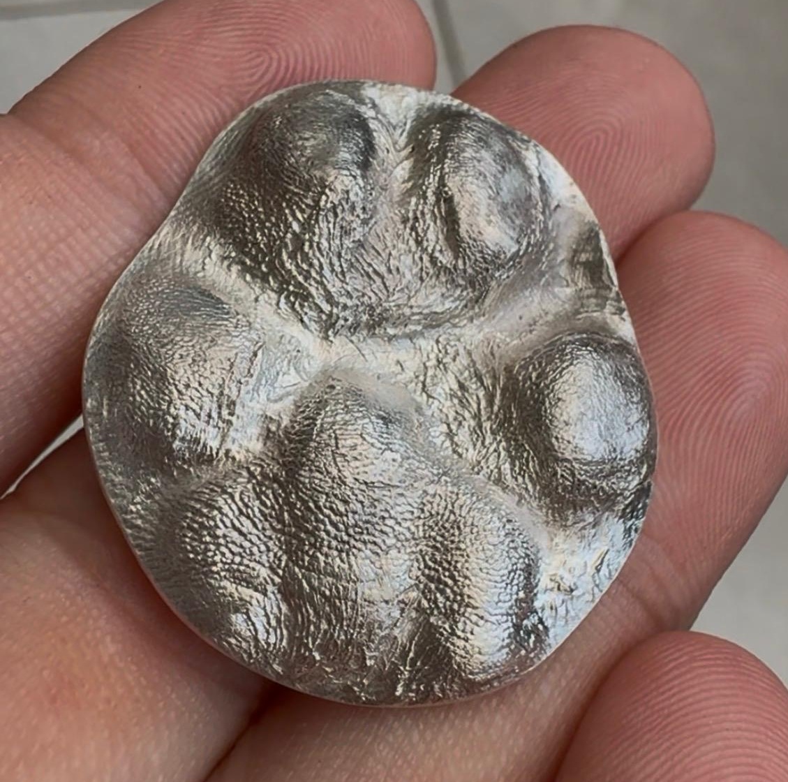 Gently holding a furkid's 3D silver paw print