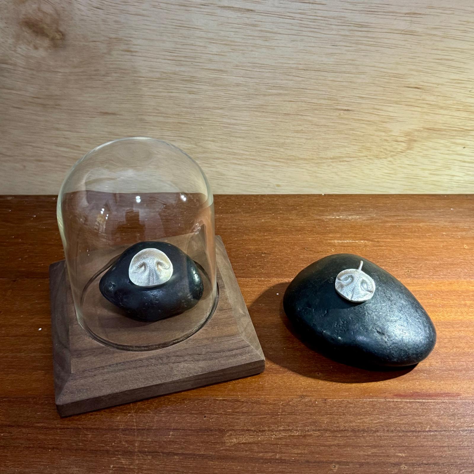 Nose-print pendant paired with a desk display under glass